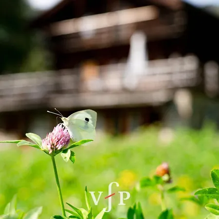 Grand Appartamento Verbier