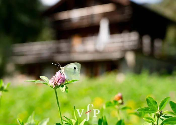 Grand Apartamento Verbier